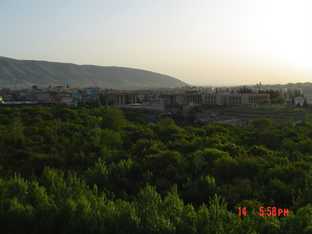 20893alsh3er.jpg
