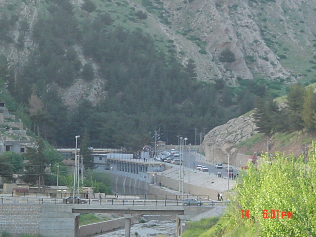 20895alsh3er.jpg