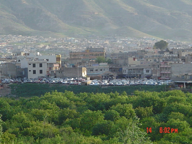 20896alsh3er.jpg