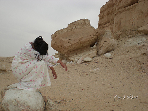20909alsh3er.jpg