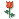 21009alsh3er.gif