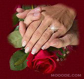 21028alsh3er.jpg