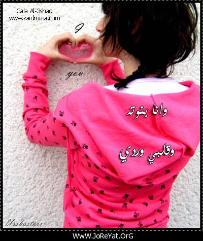 21289alsh3er.jpg