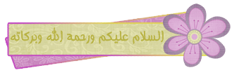 21375alsh3er.jpg