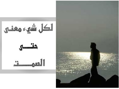 21802alsh3er.jpg