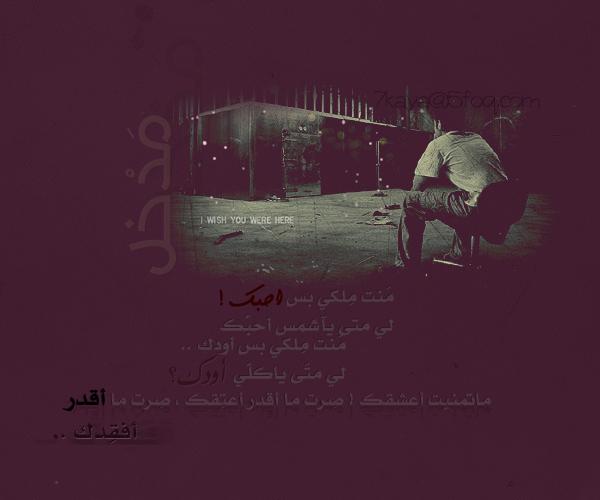 21858alsh3er.jpg