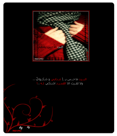 21862alsh3er.gif