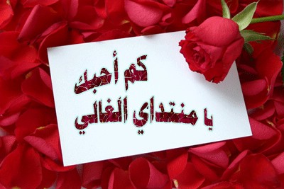 21873alsh3er.jpg