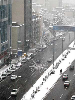 22043alsh3er.jpg