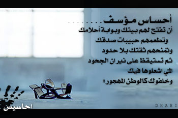 2221alsh3er.jpg