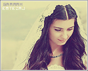 22316alsh3er.gif