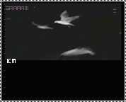 22338alsh3er.gif