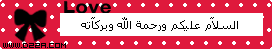 2316alsh3er.gif