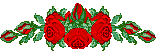 24023alsh3er.gif