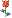 24204alsh3er.gif