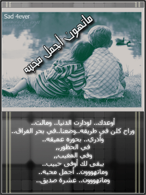 24330alsh3er.gif