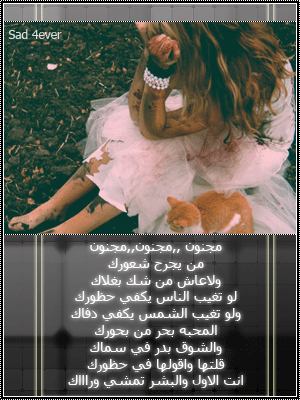 24331alsh3er.gif