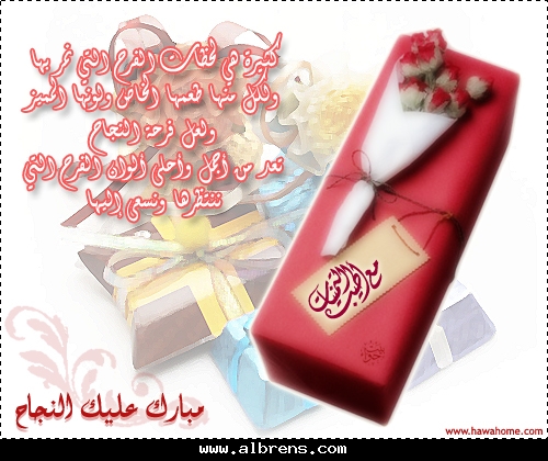 24494alsh3er.jpg