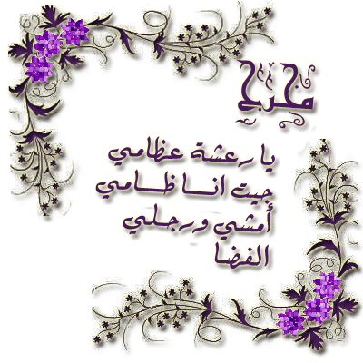 24510alsh3er.gif