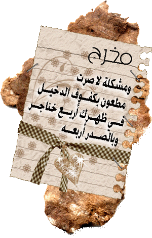 24524alsh3er.gif
