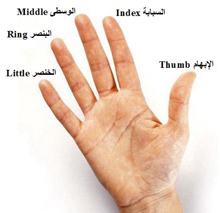 24649alsh3er.jpg