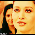 25003alsh3er.jpg