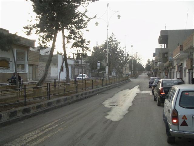 2519alsh3er.jpg