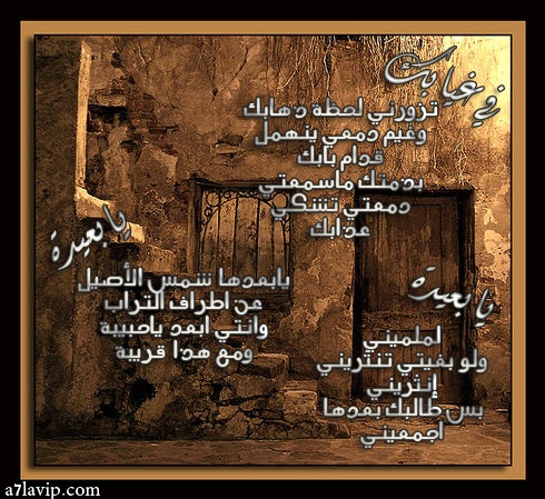 25525alsh3er.jpg