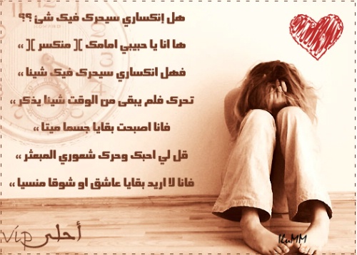 25528alsh3er.jpg