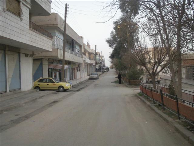 2561alsh3er.jpg