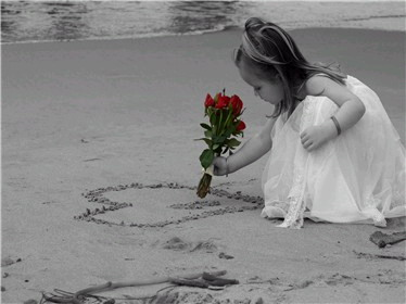 26193alsh3er.bmp