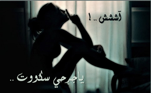 26239alsh3er.jpg