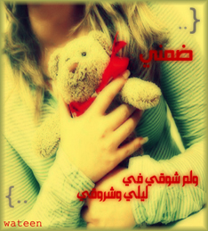 26242alsh3er.jpg