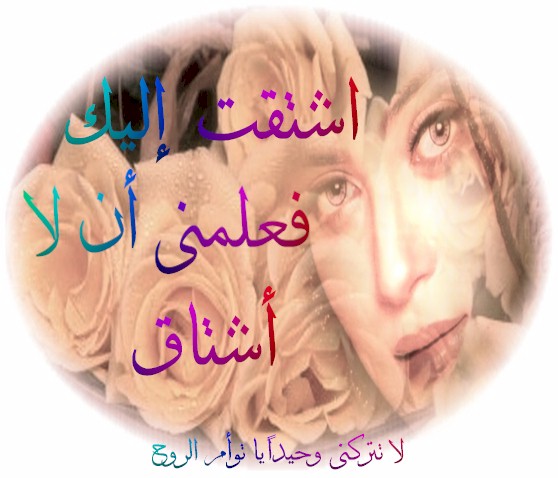 27476alsh3er.jpg