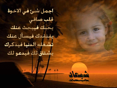 27557alsh3er.gif