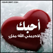 27558alsh3er.gif