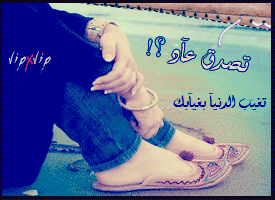 27579alsh3er.gif