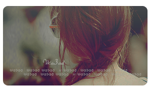 27702alsh3er.png