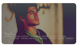 27703alsh3er.png