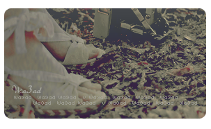 27707alsh3er.png