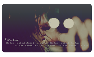 27709alsh3er.png