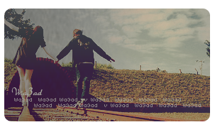 27711alsh3er.png
