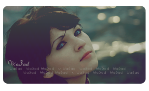 27727alsh3er.png