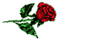 28027alsh3er.gif