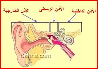 28133alsh3er.jpg