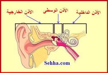 28139alsh3er.jpg