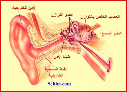 28140alsh3er.jpg