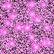 28544alsh3er.gif