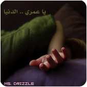 28775alsh3er.gif