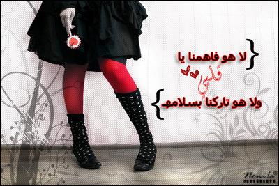 28789alsh3er.jpg